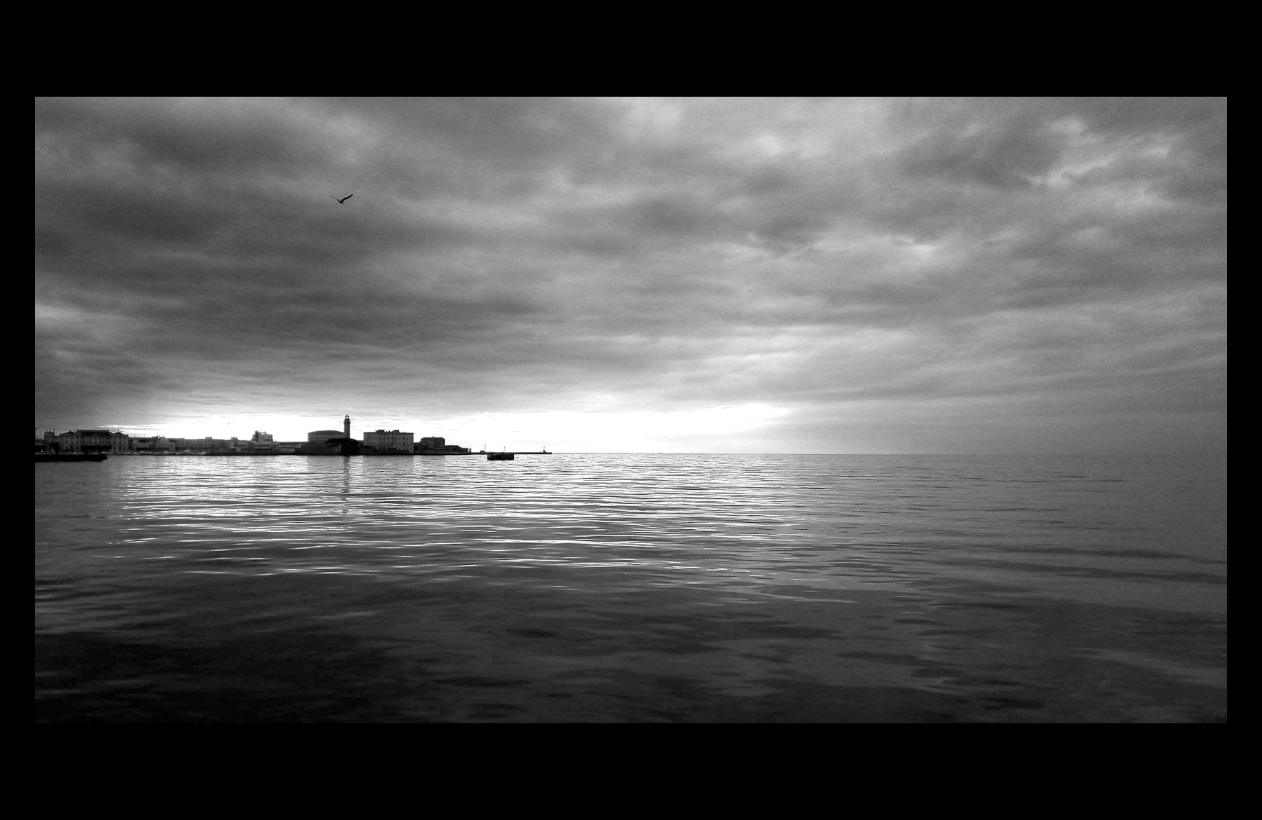 Fotografia portfolio 1