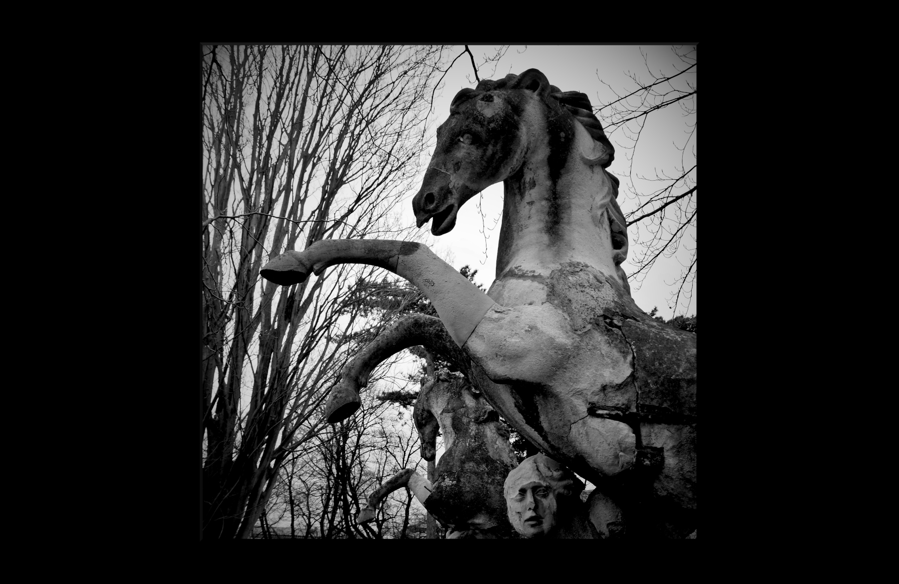 Fotografia portfolio 2